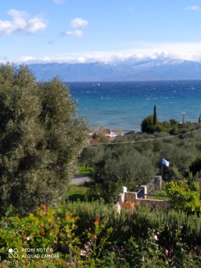 Villa Panorama Michalis Haikos Two Minutes Walk To The Beach Peroulia Kompoi Luaran gambar